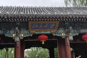 北京大学唯一的终身教授是谁？