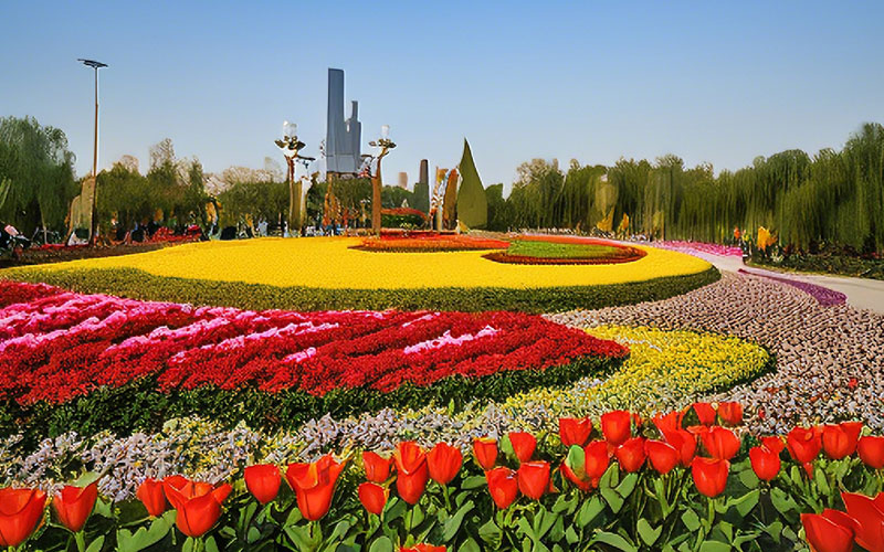 北京国际鲜花港