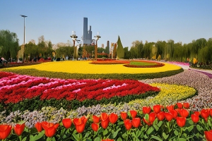 北京国际鲜花港