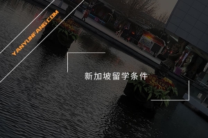 新加坡留学条件
