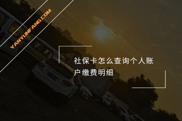 社保卡怎么查询个人账户缴费明细？