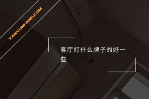 客厅灯什么牌子的好一些？
