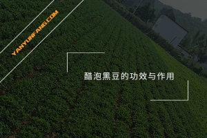 醋泡黑豆的功效与作用