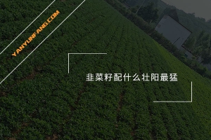 韭菜籽配什么壮阳最猛？