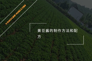 黄豆酱的制作方法和配方