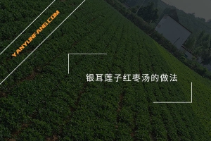 银耳莲子红枣汤的做法