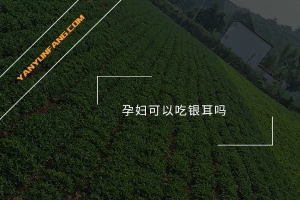孕妇可以吃银耳吗？