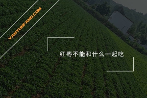 红枣不能和什么一起吃？