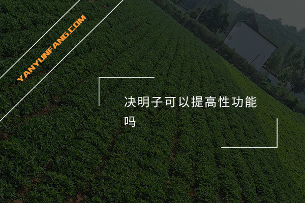 决明子可以提高性功能吗？