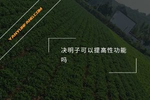决明子可以提高性功能吗？