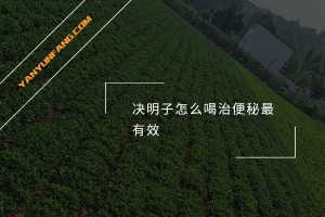 决明子怎么喝治便秘最有效？