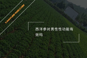 西洋参对男性性功能有效吗？