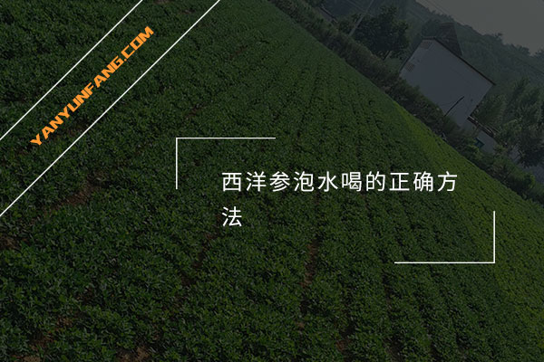 西洋参泡水喝的正确方法