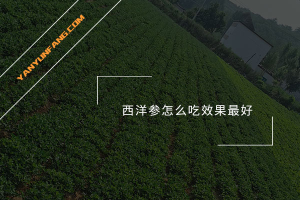 西洋参怎么吃效果最好？