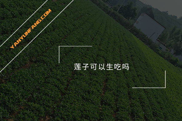 莲子可以生吃吗？