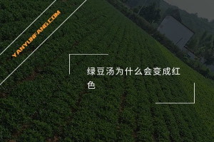 绿豆汤为什么会变成红色？