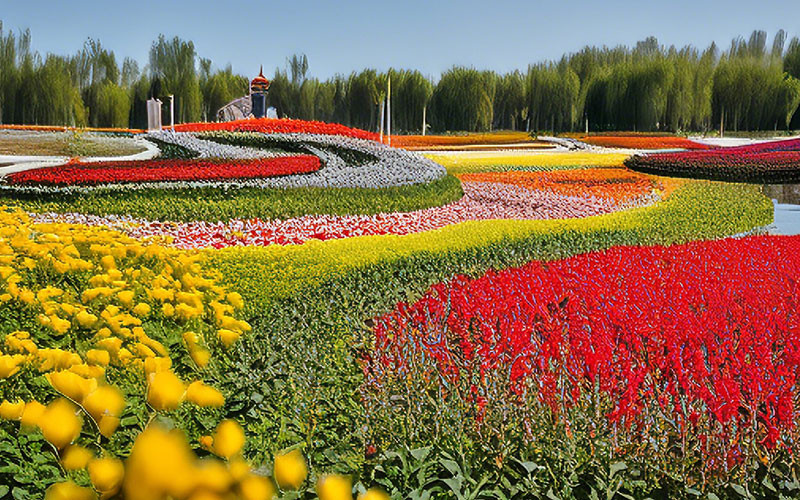 北京国际鲜花港