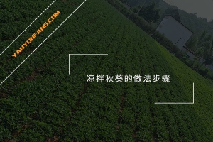 凉拌秋葵的做法步骤