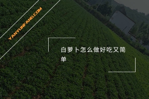 白萝卜怎么做好吃又简单？