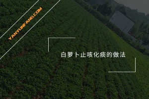 白萝卜止咳化痰的做法