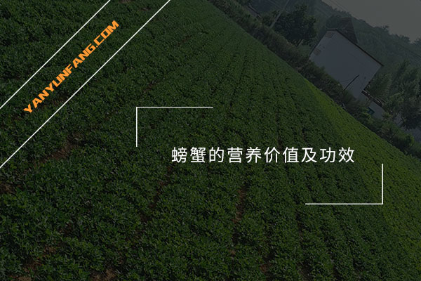 螃蟹的营养价值及功效
