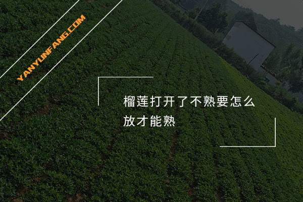 榴莲打开了不熟要怎么放才能熟？