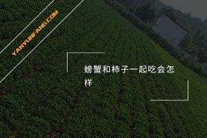 螃蟹和柿子一起吃会怎样？