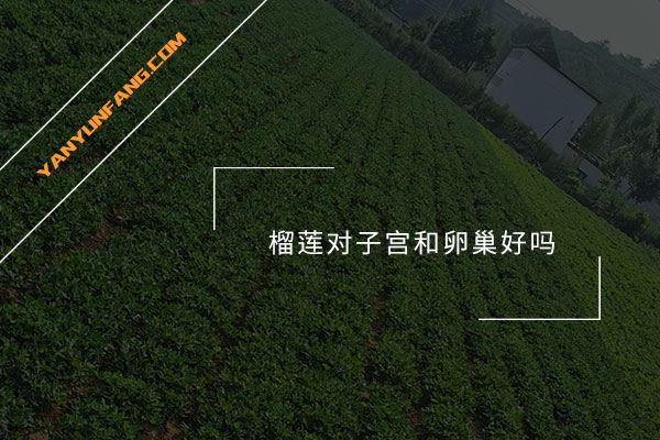 榴莲对子宫和卵巢好吗？