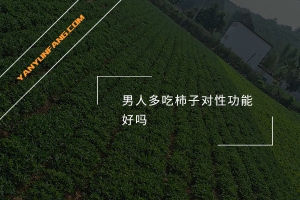 男人多吃柿子对性功能好吗？