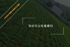 孕妇可以吃香蕉吗？