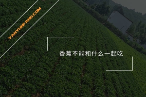 香蕉不能和什么一起吃？