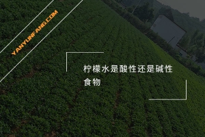 柠檬水是酸性还是碱性食物？