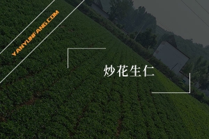 炒花生仁的营养成分含量表