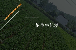 花生牛轧糖的营养成分含量表