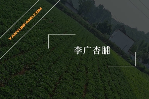李广杏脯的营养成分含量表