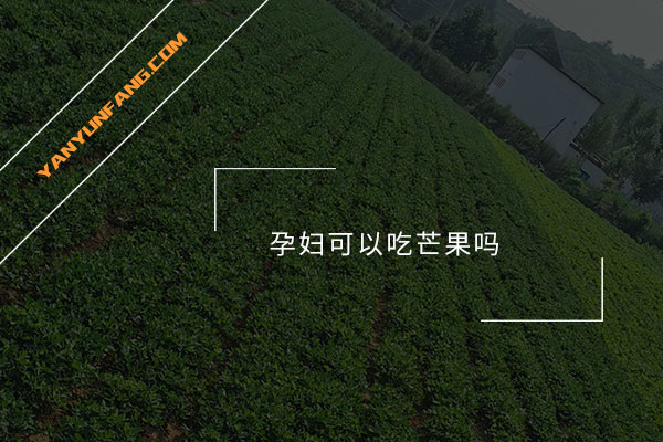 孕妇可以吃芒果吗？