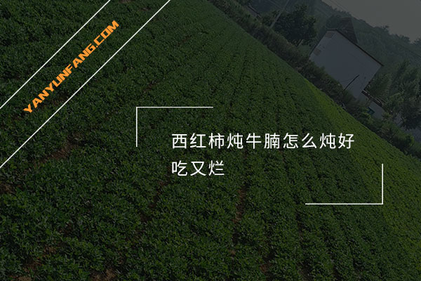西红柿炖牛腩怎么炖好吃又烂？