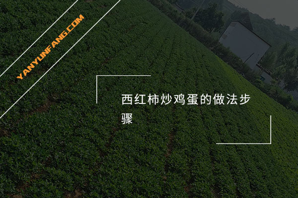 西红柿炒鸡蛋的做法步骤