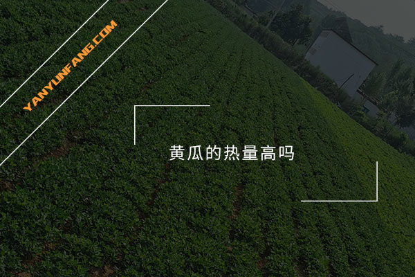 黄瓜的热量高吗？
