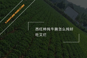 西红柿炖牛腩怎么炖好吃又烂？