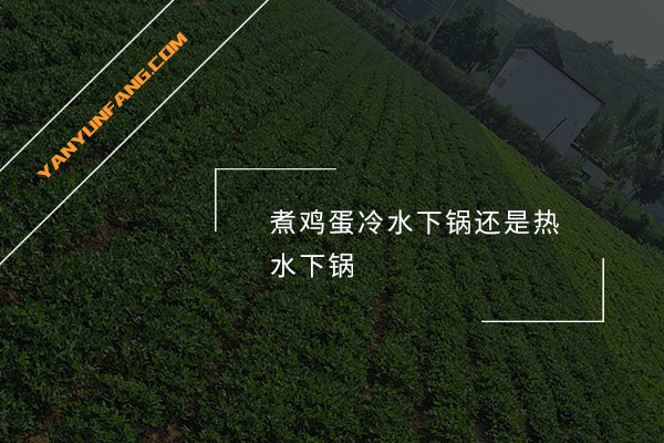 煮鸡蛋冷水下锅还是热水下锅？