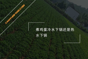 煮鸡蛋冷水下锅还是热水下锅？