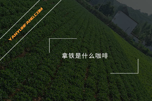 拿铁是什么咖啡？