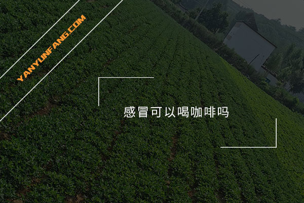 感冒可以喝咖啡吗？