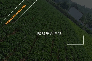 喝咖啡会胖吗？