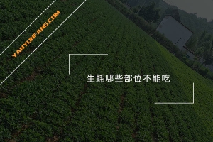 生蚝哪些部位不能吃？