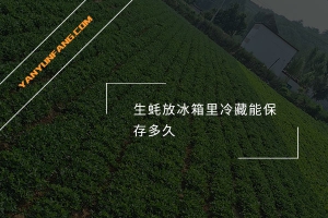 生蚝放冰箱里冷藏能保存多久？