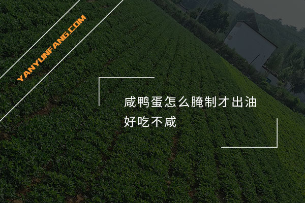 咸鸭蛋怎么腌制才出油好吃不咸？