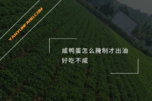 咸鸭蛋怎么腌制才出油好吃不咸？