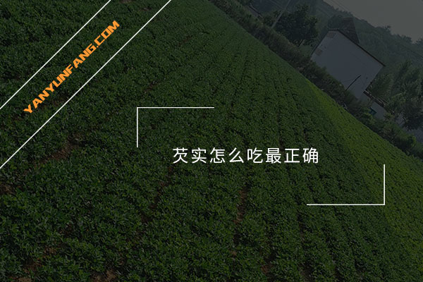 芡实怎么吃最正确？